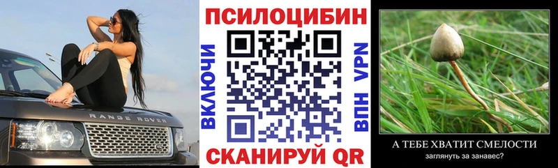 Псилоцибиновые грибы Magic Shrooms Далматово
