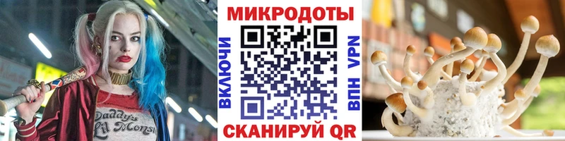 Псилоцибиновые грибы MAGIC MUSHROOMS  Купить где  Далматово 